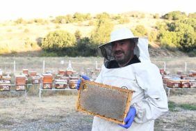 PURSAKLAR’DA BAL HASADI BAŞLADI