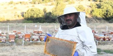 PURSAKLAR’DA BAL HASADI BAŞLADI