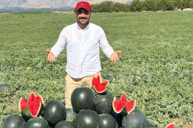 MALATYA’DA KARPUZ VE KAVUN HASADI YÜZ GÜLDÜRÜYOR