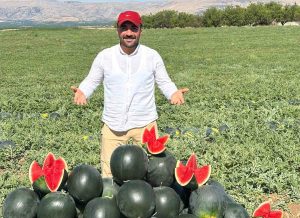 MALATYA’DA KARPUZ VE KAVUN HASADI YÜZ GÜLDÜRÜYOR
