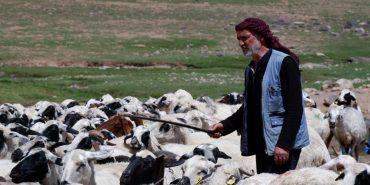 YETİŞTİRİCİLERE 127,7 MİLYON TL KREDİ DESTEĞİ