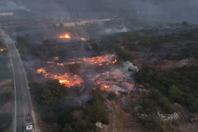 686615d1da341766__w1200xh639