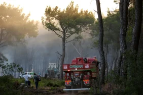 68677ed4ce9ff649__w1200xh849