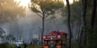 68677ed4ce9ff649__w1200xh849