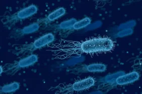 ABD'DE ET YİYEN BAKTERİ 1