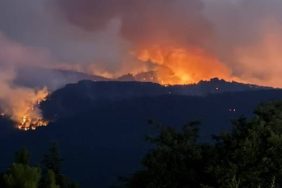 Bursa Orman Yangınında Acı Kayıp 4 Kişi Hayatını Kaybetti