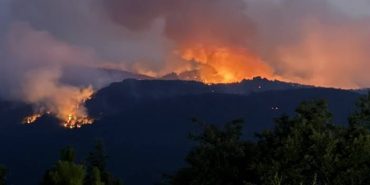 Bursa Orman Yangınında Acı Kayıp 4 Kişi Hayatını Kaybetti