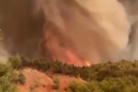 Sakarya’da Orman Yangınında Hortum Korkusu