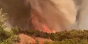 Sakarya’da Orman Yangınında Hortum Korkusu