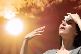 Screenshot---2025-06-23T070849