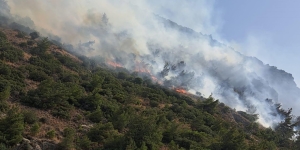 mugla-ve-manisadaki-iki-yangin-tamamen-kontrol-altinda-6ug8YPKj.jpg