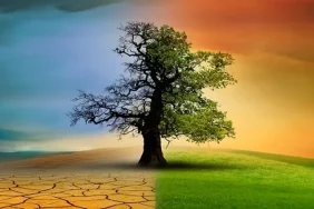 turkiye-nin-ilk-iklim-kanunu-tbmm-de-yasalasti-1751539282-967_large