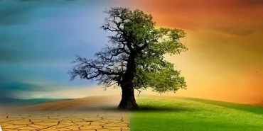 turkiye-nin-ilk-iklim-kanunu-tbmm-de-yasalasti-1751539282-967_large