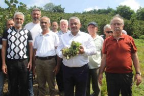 SOYDAN: "ÜRETİCİLER KONTROLLÜ HAREKET EDERSE, FINDIK FİYATLARI TABAN FİYATIN ÜZERİNE ÇIKAR"