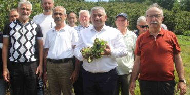 SOYDAN: "ÜRETİCİLER KONTROLLÜ HAREKET EDERSE, FINDIK FİYATLARI TABAN FİYATIN ÜZERİNE ÇIKAR"
