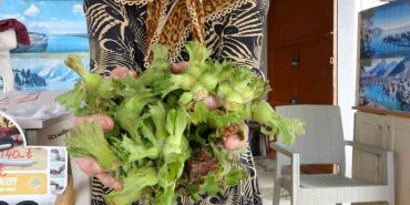 TMO 200 LİRA AÇIKLADI, TEZGAHTA 300 LİRADAN SATIŞI BAŞLADI