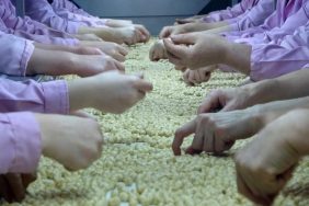 YEDİ AYDA 14 BİN 348 TON İHRAÇ EDİLDİ