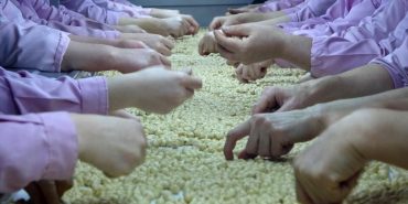 YEDİ AYDA 14 BİN 348 TON İHRAÇ EDİLDİ