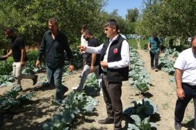 Modern basınçlı sulama sistemiyle hem işçilikten hem de verimden kazandı 5 MODERN BASINÇLI SULAMA SİSTEMİYLE HEM İŞÇİLİKTEN HEM DE VERİMDEN KAZANDI