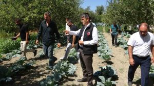 MODERN BASINÇLI SULAMA SİSTEMİYLE HEM İŞÇİLİKTEN HEM DE VERİMDEN KAZANDI
