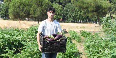 GAZİ TARIM’DA HASAT ZAMANI ORGANİK SEBZELER KENT LOKANTASI’NDA YEMEĞE DÖNÜŞTÜ