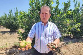 REKOR SICAKLAR NARENCİYE ÜRÜNLERİNDE YANIKLAR OLUŞTURDU YÜREĞİR ZİRAAT ODASI BAŞKANI MEHMET AKIN DOĞAN: "İKLİM DEĞİŞİKLİĞİ, TARIMSAL FAALİYETLERİ TEHDİT EDİYOR" ÇİFTÇİ İBRAHİM DARDOĞAN: "BÖYLE BİR AFET DAHA ÖNCE OLMAMIŞTI"