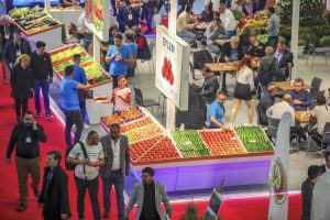 GROWTECH_103225018