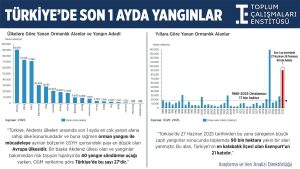 Toplum Çalışmaları Enstitüsü’nün analizine göre Esenyurt'un 21 katı alan yandı! 3 TCE 143106339