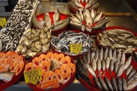 BALIKÇILAR SEZONA İSTAVRİTLE BAŞLADI, PALAMUT AVI BEKLENTİLERİ KARŞILAMADI