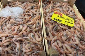 SEZON AÇILDI, TEZGAHLARDA HAMSİ VE İSTAVRİT BOLLUĞU