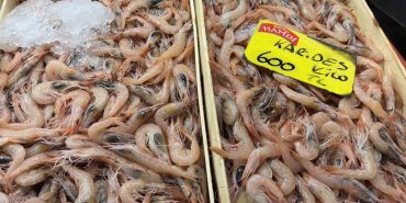 SEZON AÇILDI, TEZGAHLARDA HAMSİ VE İSTAVRİT BOLLUĞU