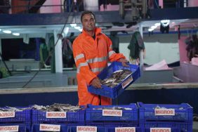 MİGROS, TÜKETİCİLERE 15 BİN TON TAZE BALIK ULAŞTIRACAK