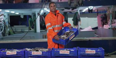 MİGROS, TÜKETİCİLERE 15 BİN TON TAZE BALIK ULAŞTIRACAK