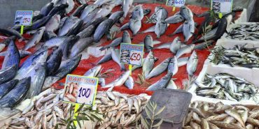 HAVALAR SERİNLEDİ, BALIK TEZGAHLARI HAREKETLENDİ