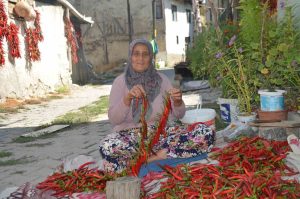 160 YILDIR AYNI TOHUMDAN ACI BİBER ÜRETİYORLAR BİLECİK'İN COĞRAFİ İŞARET BELGELİ, 'KIRMIZI ALTIN' DİYE ADLANDIRILAN ACI BİBERİN DİZİMİNE BAŞLANDI KÖYDE KIRMIZIBİBER ÜRETİMİ YAPAN MÜŞERREF AYDENİZ: "BİZDEN SONRA BU İŞİ YAPACAK YOK, ARTIK KÖYÜMÜZDE DE FAZLA İNSAN KALMADI" ÇUKURÖREN KÖYÜ MUHTARI MUHİTTİN DÜNDAR: "TÜRKİYE'NİN HER TARAFINA BU BİBERLERİ GÖNDERİYORUZ"