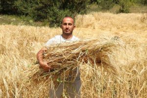 MEGAKENTİ BIRAKIP ORDU’DA  TARIMA YÖNELDİ: 200 DÖNÜM ATIL ARAZİYİ TARIMA KAZANDIRDI