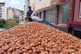 Fındık İhracatında 25 Yılda 42,4 Milyar Dolarlık Gelir 7 FINDIK İHRACATINDA ÇITA YÜKSELİYOR TÜRKİYE, FINDIK İHRACATINDAN ÇEYREK ASIRDA 42 MİLYAR DOLAR DÖVİZ KAZANDI