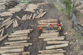 DÜZCE'DEN 9 BİN 967,5 TON ORMAN ÜRÜNÜ İHRAÇ EDİLDİ