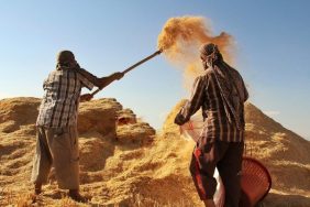 TARIM-GFE YILLIK YÜZDE 34,22 ARTTI