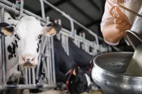 68b95f42536d3c558fbb543a