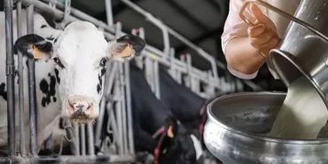 68b95f42536d3c558fbb543a