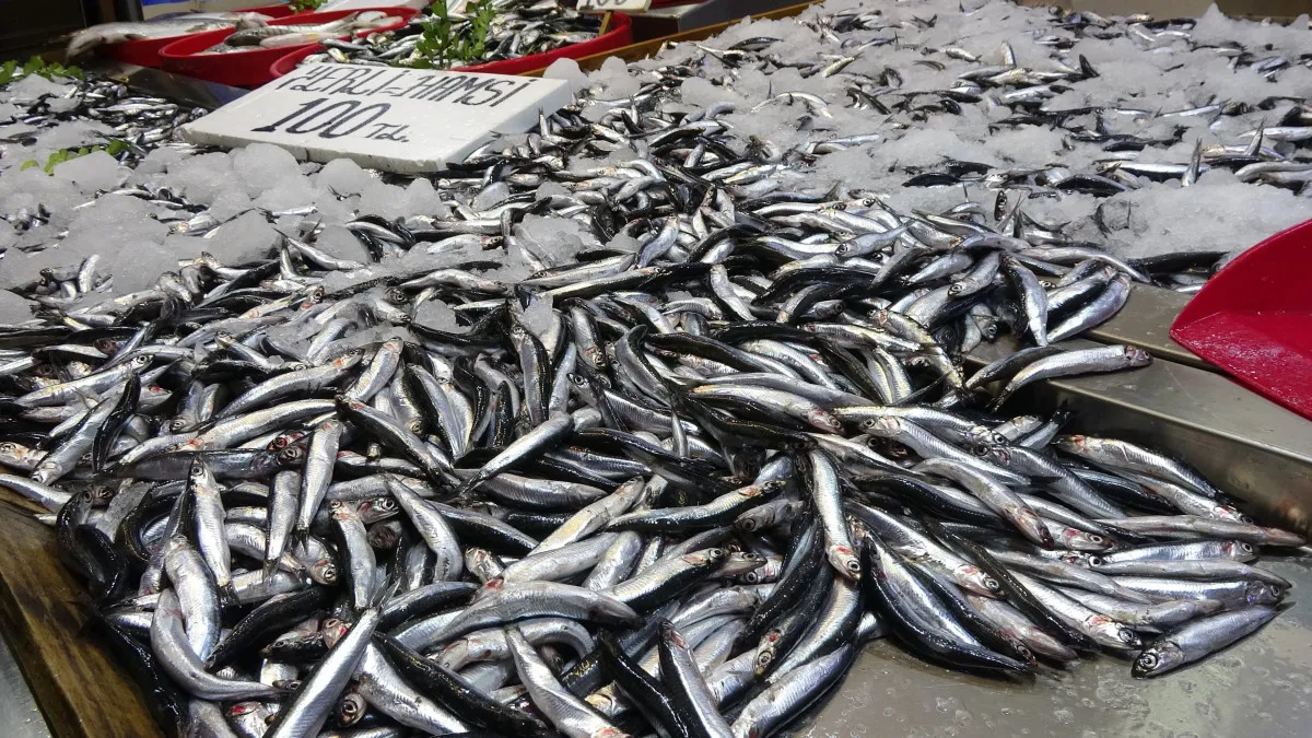 68d25307b5f71739__w1200xh675