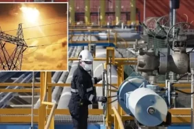 6dcd982d-tkmn0b3cbxgj6gelo7rfy