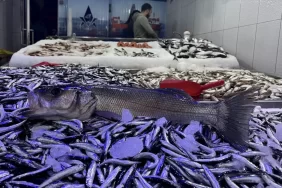 hamsi-avciligi-hem-balikciyi-hem-tuketiciyi-m-19074059_amp