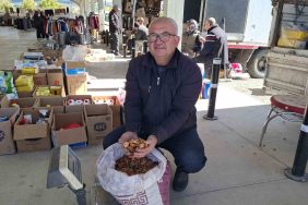 ELMA KURUSU, ÜRETİCİSİNİ SEVİNDİRDİ