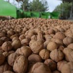 HAZİRAN TAKVİMİ DEĞİŞTİ: BORSA İSTANBUL’A TATİL AYARI! YATIRIMCILAR DİKKAT 1 thumbnail