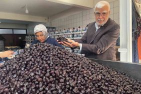 Her 6 sofralık zeytinden birini Bursa ve Balıkesir üretecek 6 HER 6 SOFRALIK ZEYTİNDEN BİRİNİ BURSA VE BALIKESİR ÜRETECEK