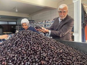 HER 6 SOFRALIK ZEYTİNDEN BİRİNİ BURSA VE BALIKESİR ÜRETECEK