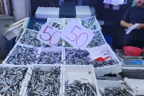Karadeniz hamsisi tezgahları doldurdu: Kilosu 50 lira 5 KARADENİZ HAMSİSİ TEZGAHLARI DOLDURDU: KİLOSU 50 LİRA