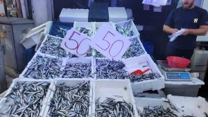 KARADENİZ HAMSİSİ TEZGAHLARI DOLDURDU: KİLOSU 50 LİRA